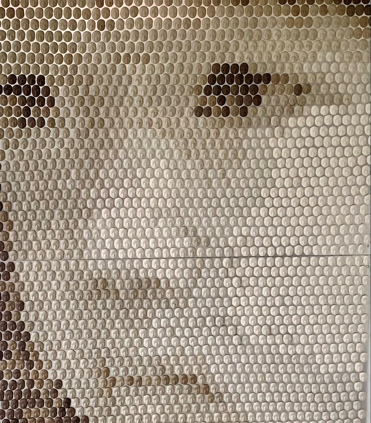 Bild av ett ansikte, en kinesisk flicka. Bilden är uppbyggd av flera små bilder vilket ger en pixlig effekt.