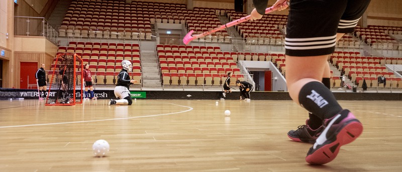 Bild: innebandyspel i Olsbergs Arena