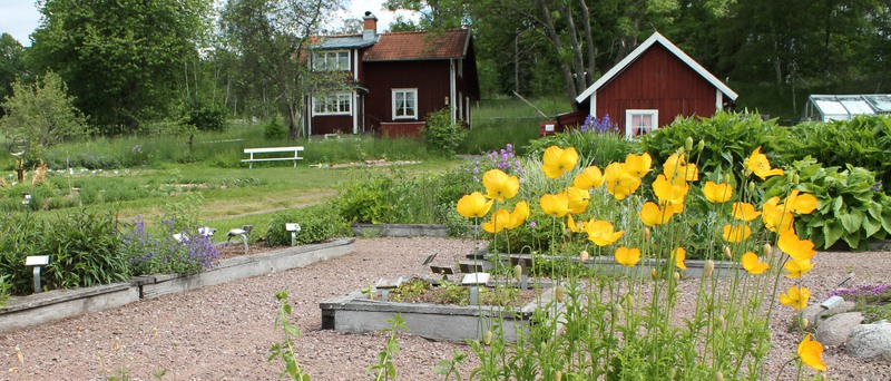 Odlingar vid FOBO, Föreningen organisk biologisk odling