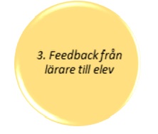 Feedback