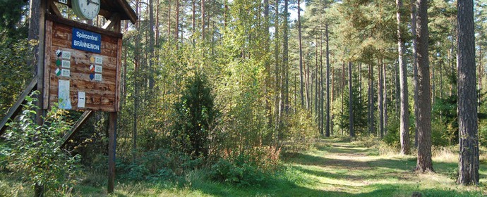 Bild på motionsspår i Eksjö kommun.