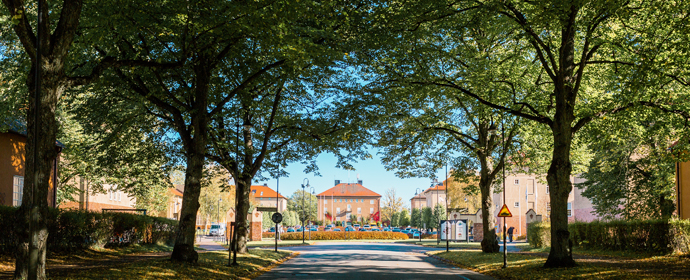 Foto Tuva Kleven Bild Allé till itolvområdet