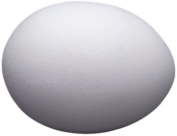 ägg